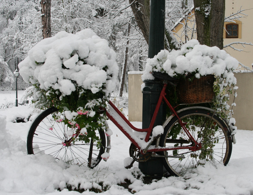 Herbst u. Winter