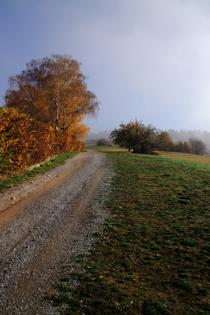 Herbst über Baden-Baden