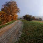 Herbst über Baden-Baden