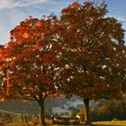 Herbst über dem Almetal