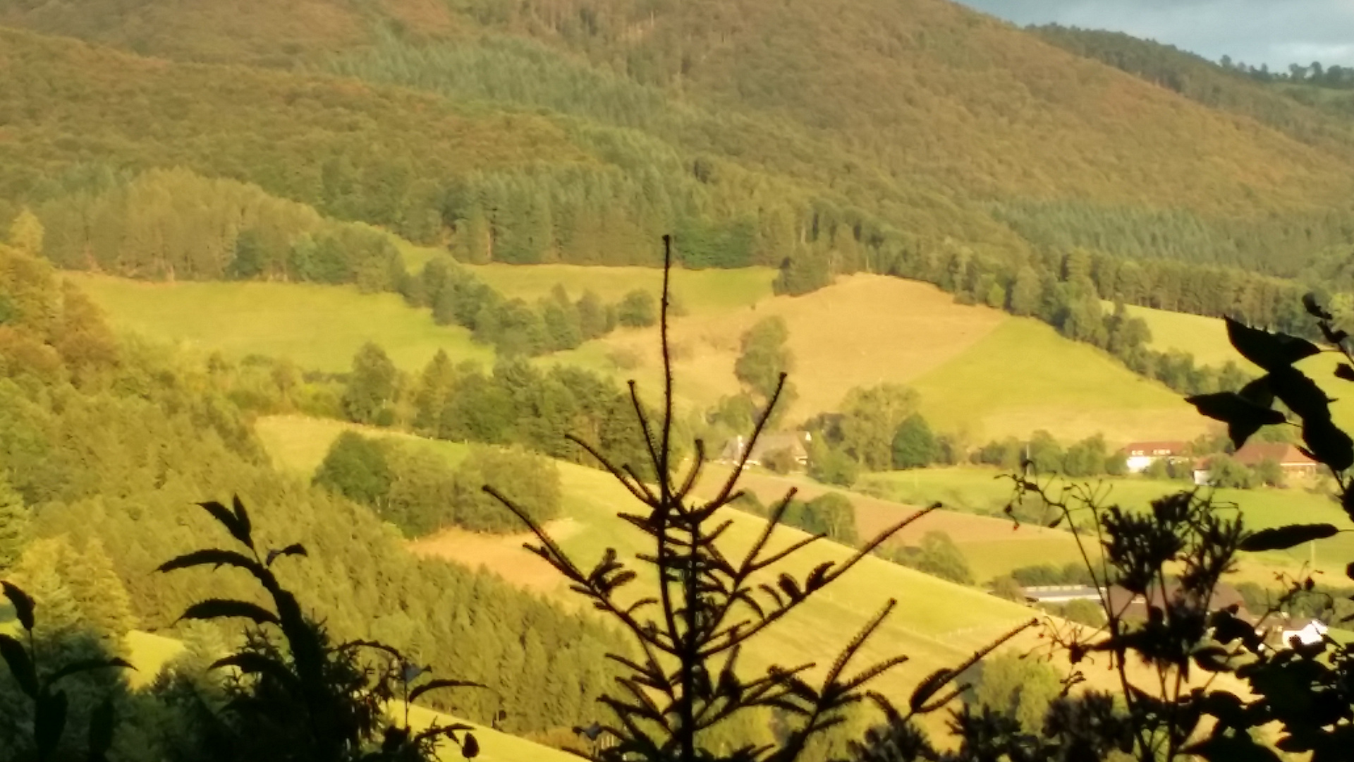 Herbst über dem Glottertal