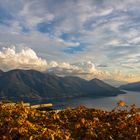 Herbst über dem Lago Maggiore