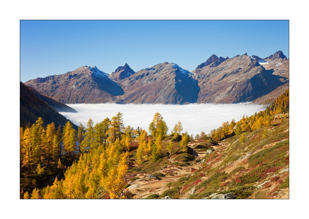 Herbst über dem Nebelmeer