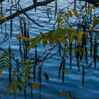 Herbst über dem Wasser