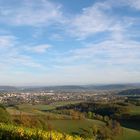 Herbst über dem Wittlicher Tal