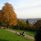 Herbst über der Stadt