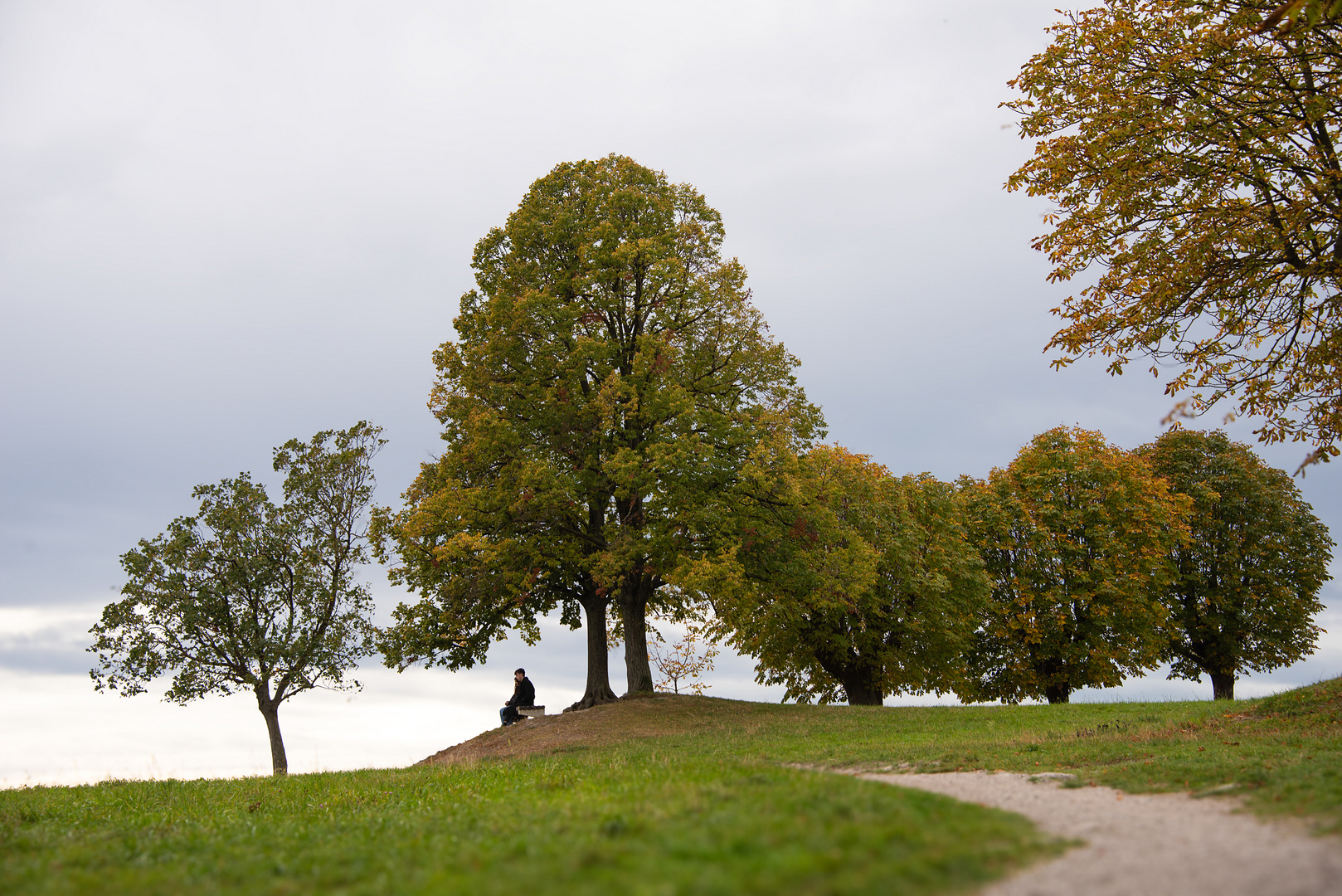 herbst über der stadt...