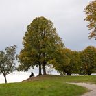 herbst über der stadt...