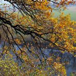 Herbst über der Weser