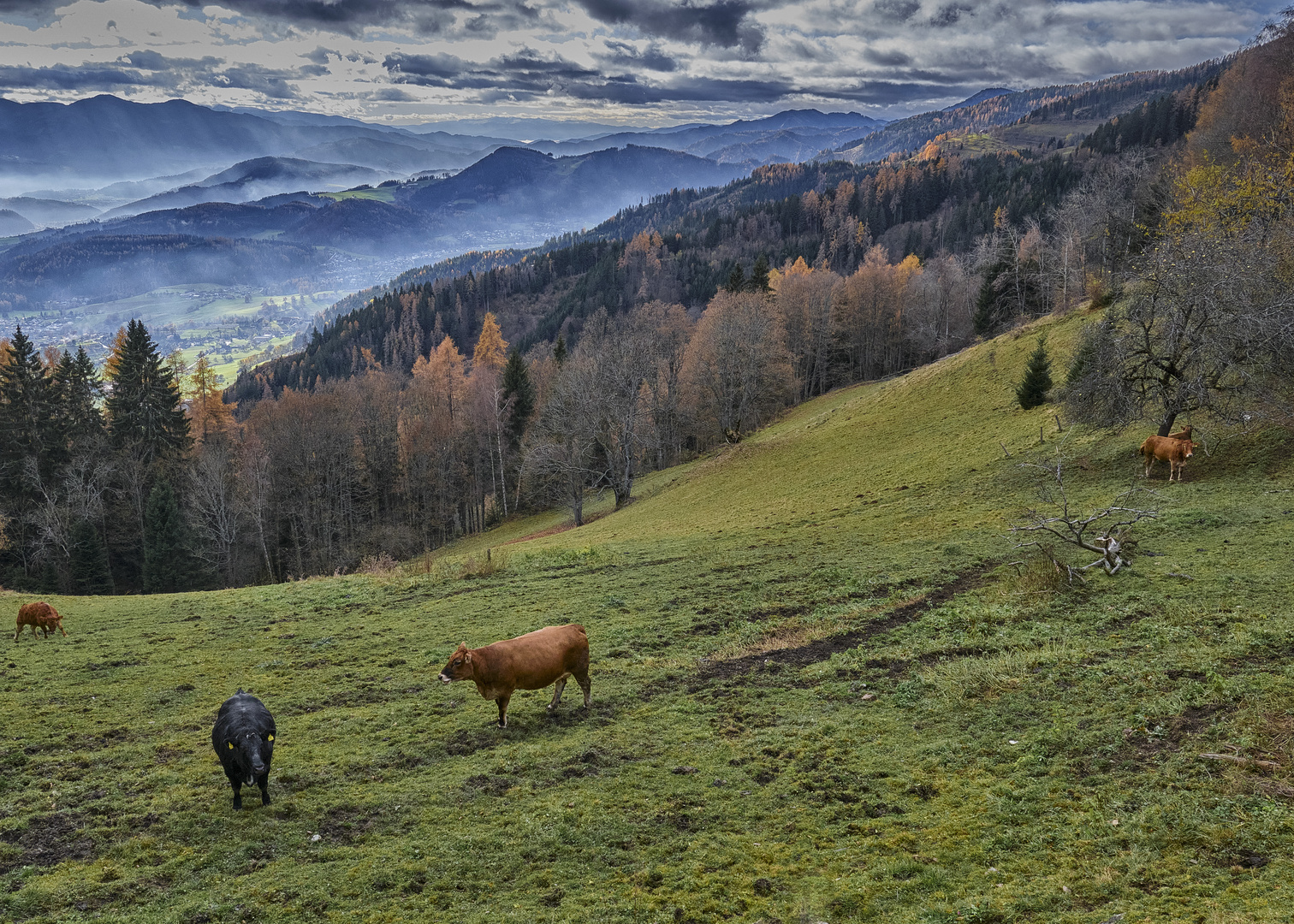 Herbst über Kapfenberg