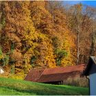 Herbst über Märstetter Dächern