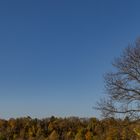 Herbst über Nikolausberg