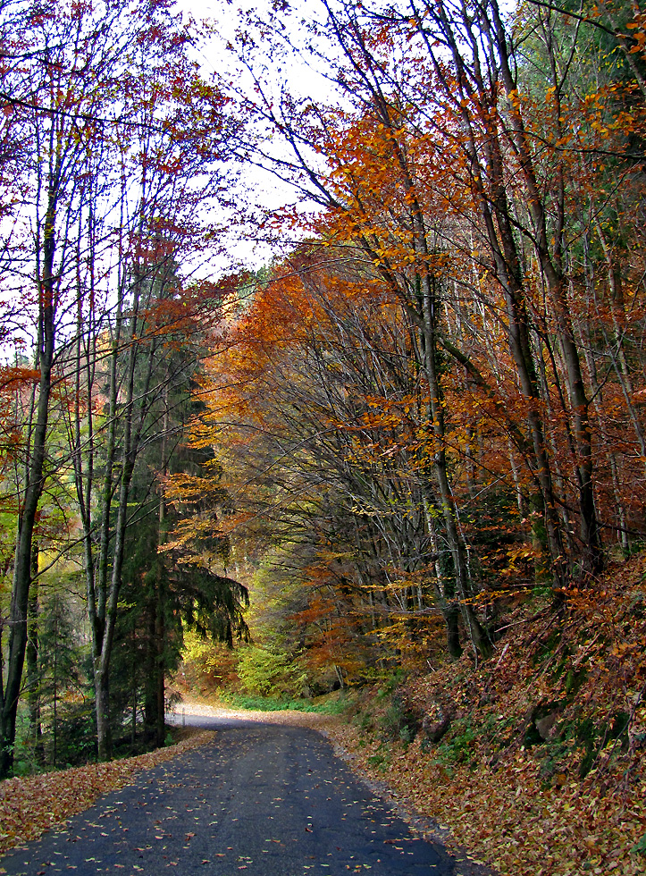 Herbst überall