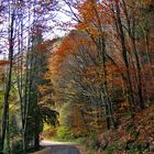 Herbst überall