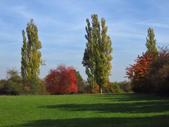 Herbst überall