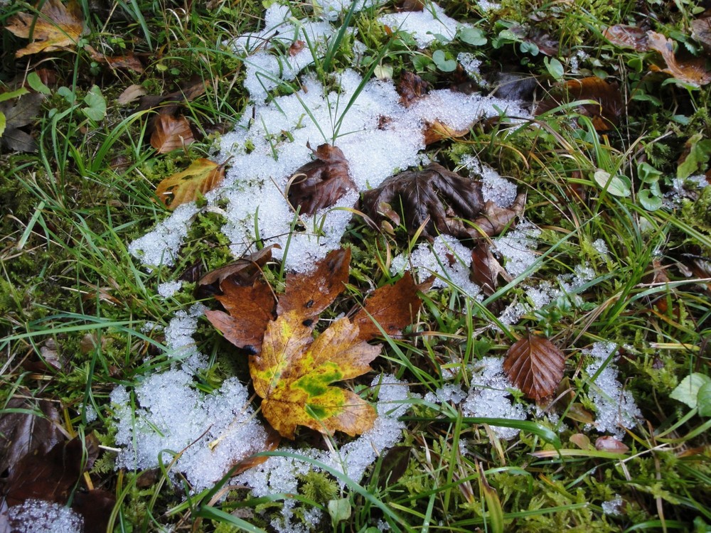 Herbst: Übergang zum Winter