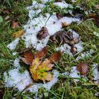 Herbst: Übergang zum Winter