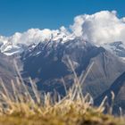 Herbst überm Pfitscher Tal