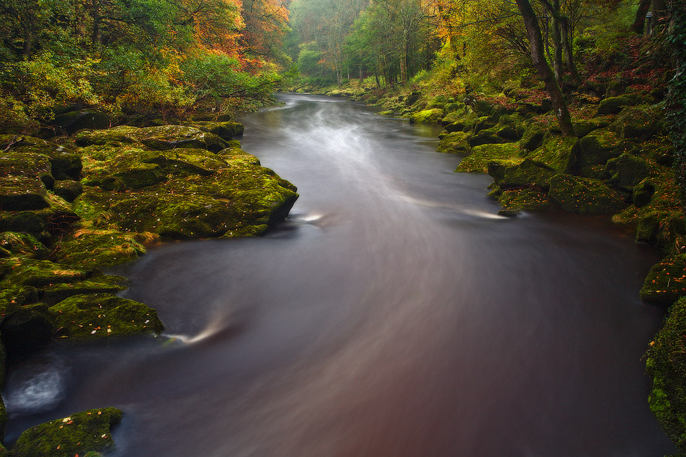 Herbst, UK