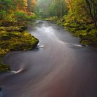 Herbst, UK