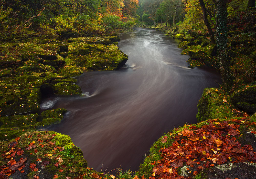 Herbst, UK II