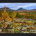 Herbst um den Muen