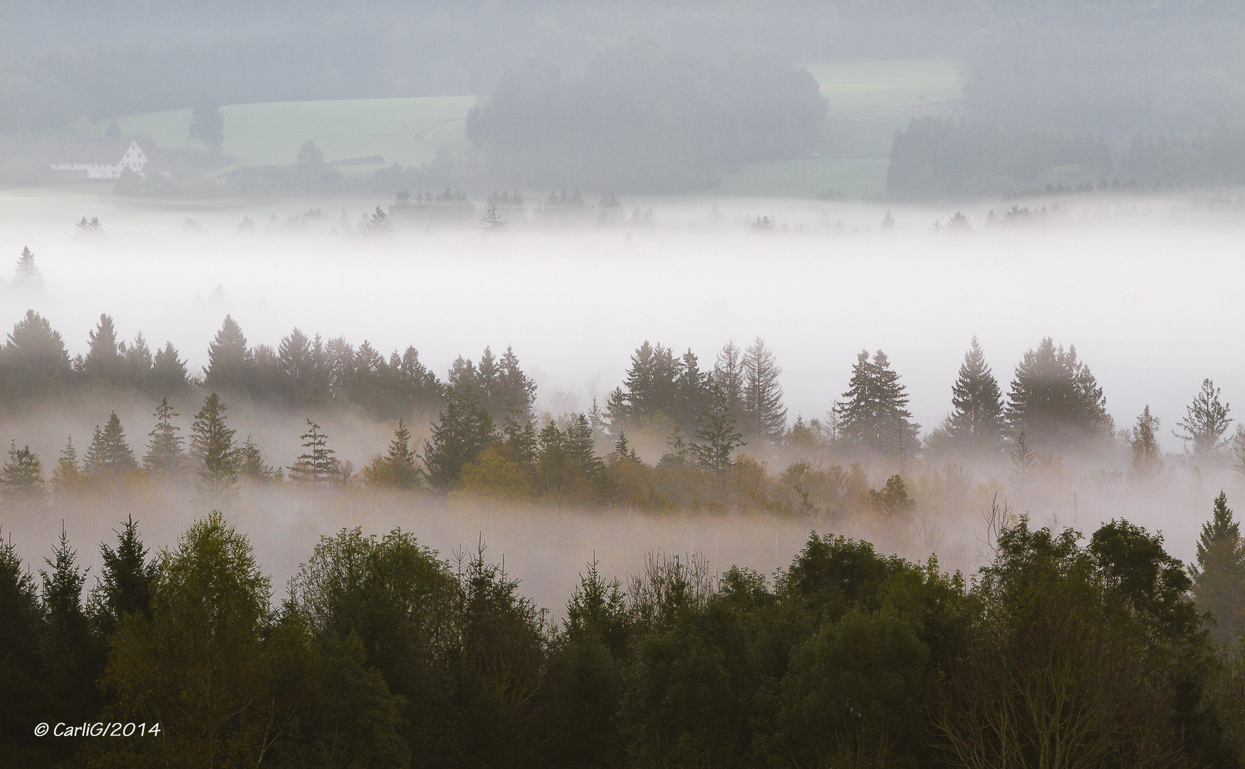 Herbst um Ried