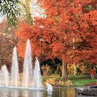 Herbst- und Abendstimmung im Kurpark zu Bad Bellingen