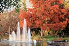 Herbst- und Abendstimmung im Kurpark zu Bad Bellingen