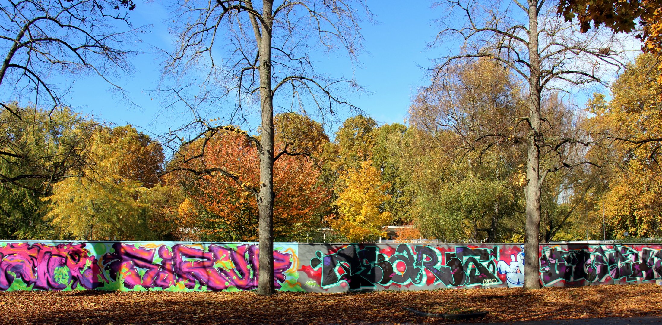 Herbst und alles ist bunt