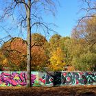 Herbst und alles ist bunt