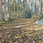 Herbst und der Gedenkstein