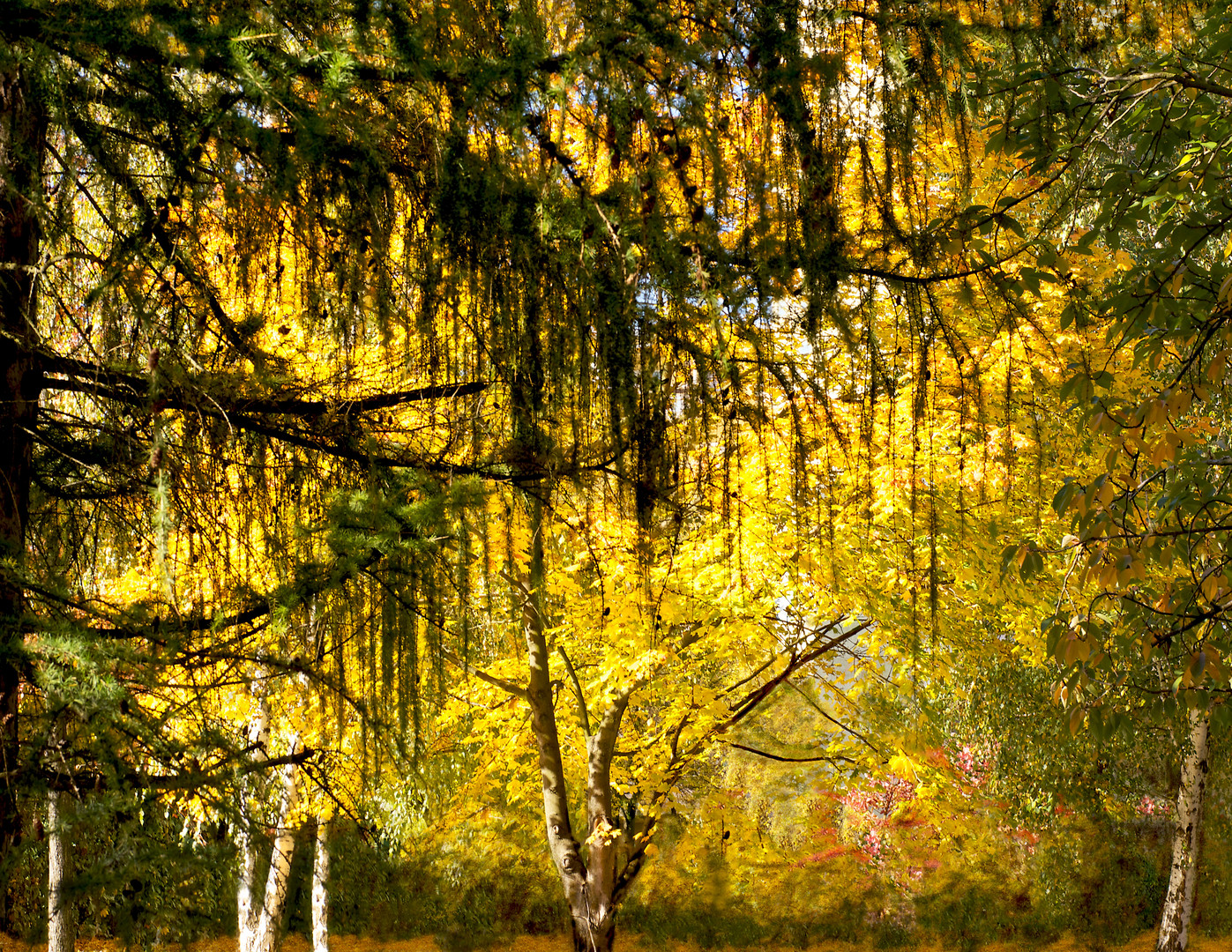 Herbst - und etwas traurig