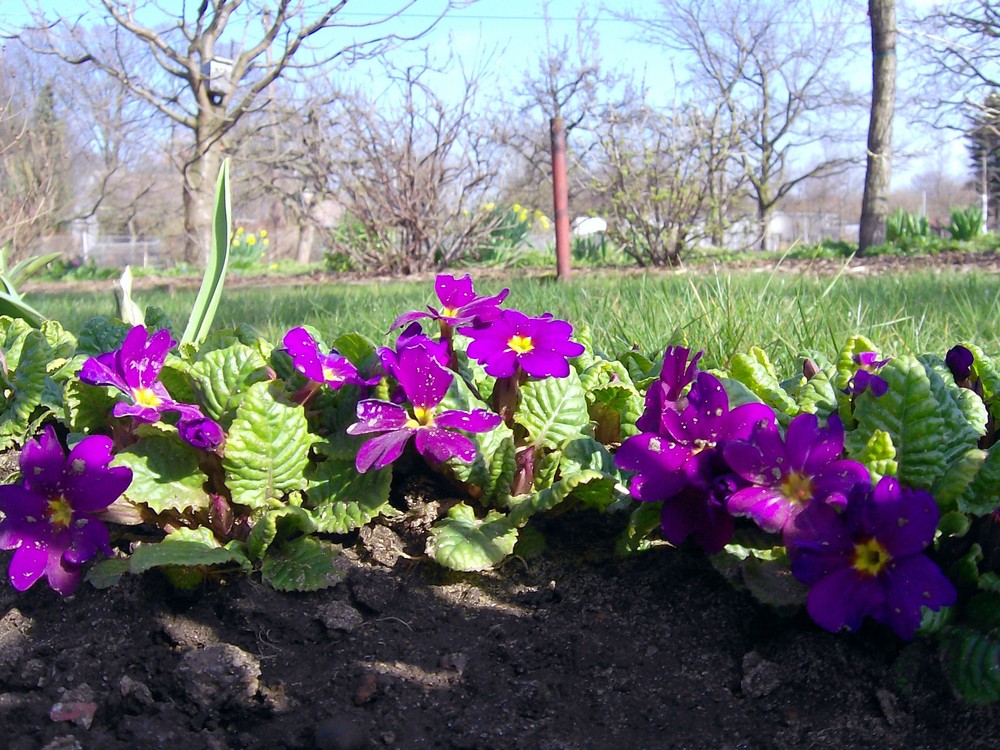 Herbst und Frühling