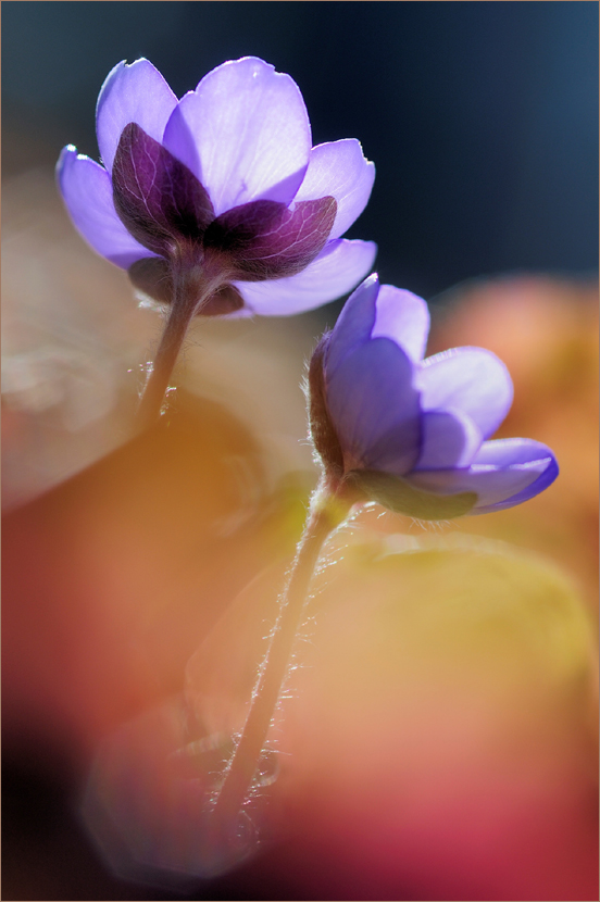 Herbst und Frühling