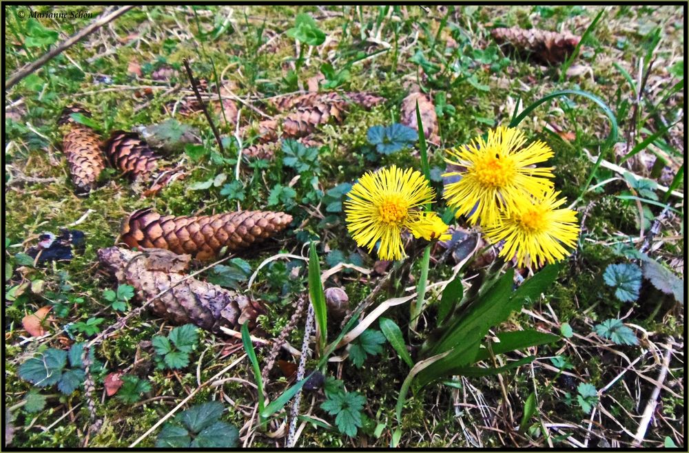 Herbst und Frühling...