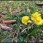 Herbst und Frühling...