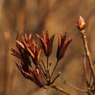 Herbst und Frühling