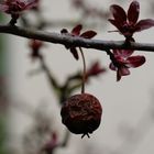 Herbst und Frühling