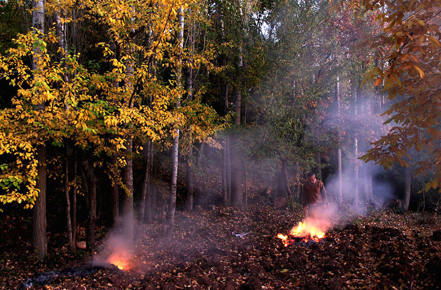 herbst und gelb