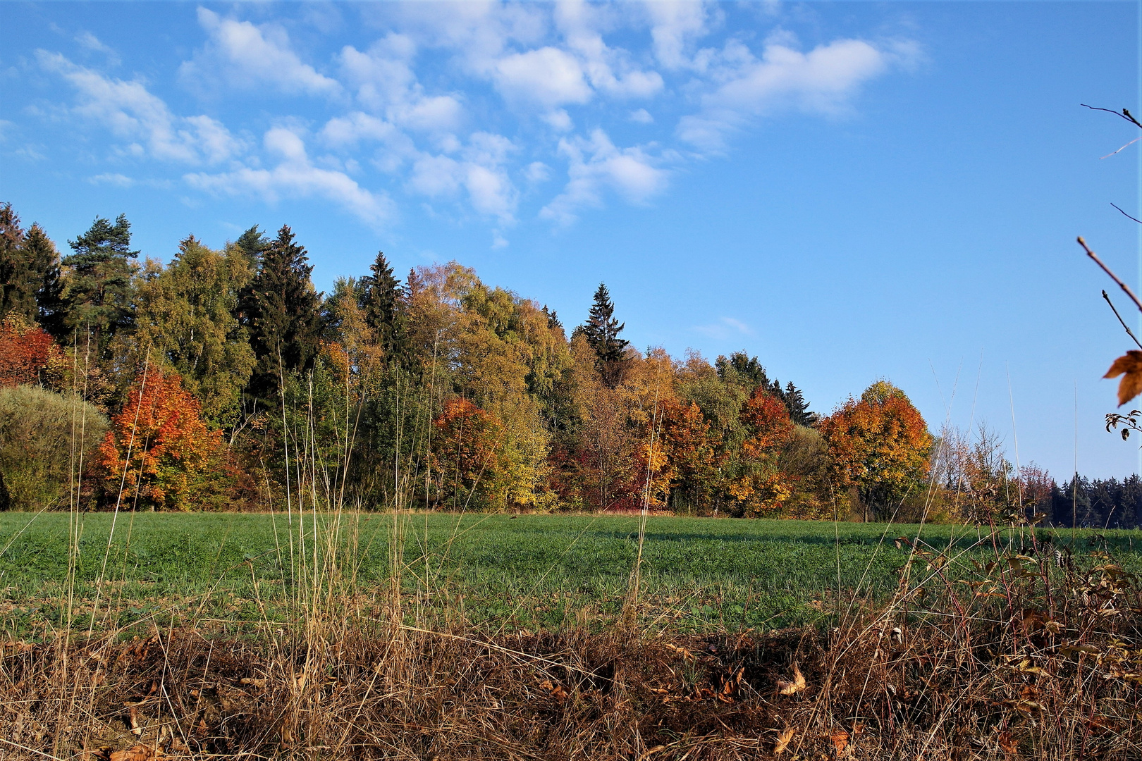 Herbst und Himmel  17.10.18