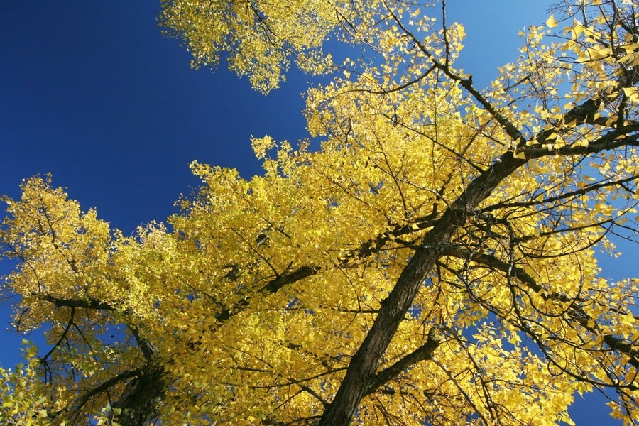 Herbst und Himmel