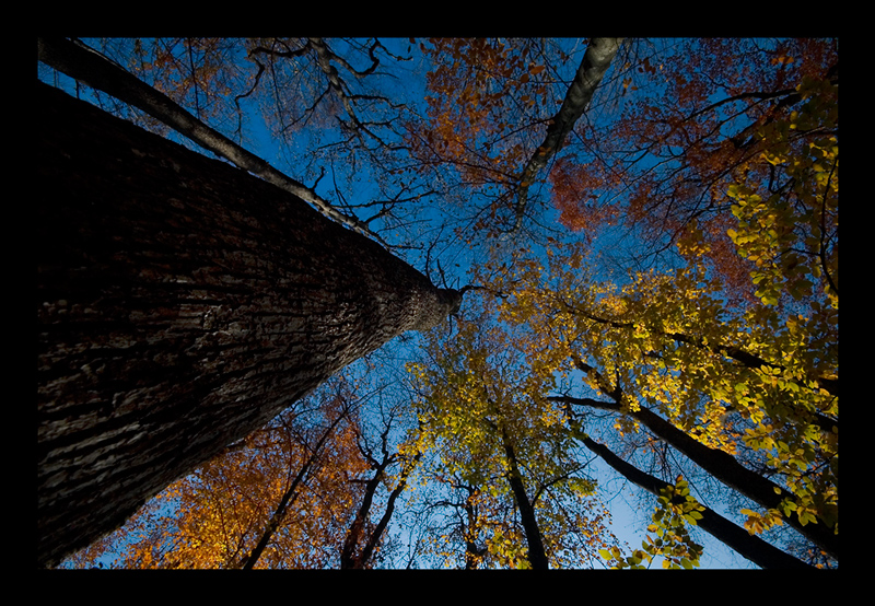 Herbst und Himmel