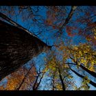 Herbst und Himmel