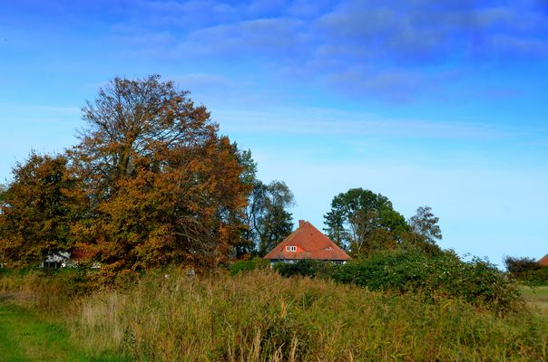 Herbst und Max Taut Häuser 2025
