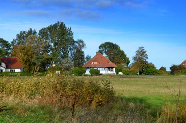 Herbst und Max Taut Häuser