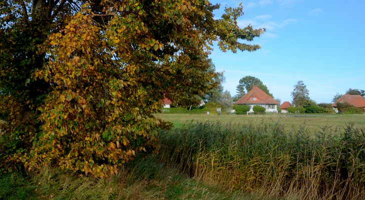 Herbst und Max Taut Häuser