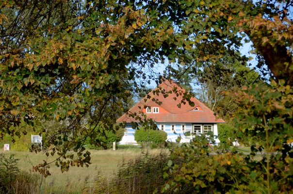 Herbst und Max Taut Häuser