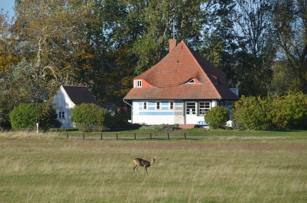 Herbst und Max Taut Häuser ( hier das Asta Nielsen Haus )