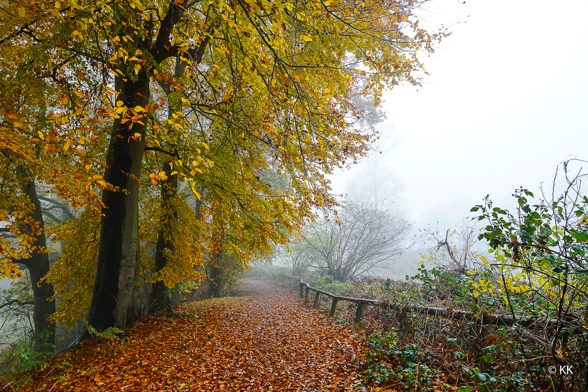 Herbst und Nebel 01